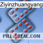 Ziyinzhuangyang 05